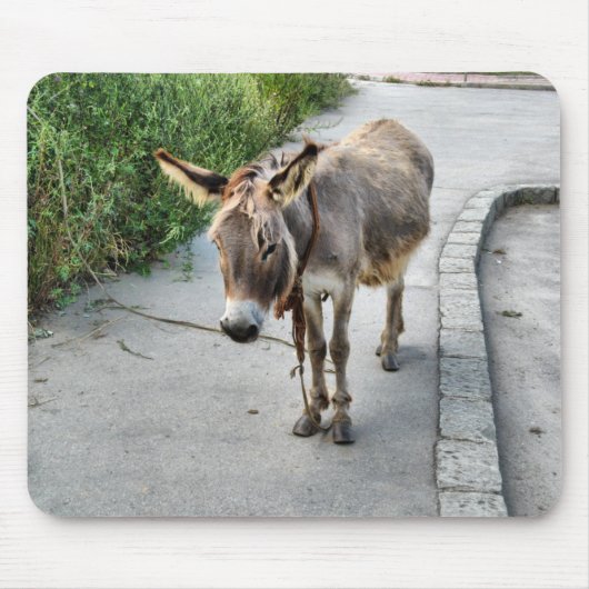 Donkey Mousepad (Vorne)