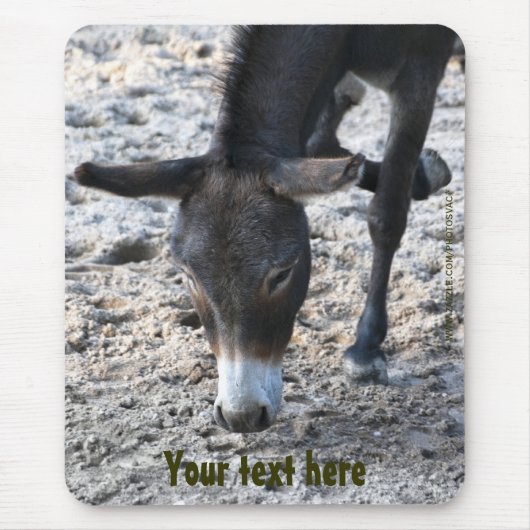 Donkey Mousepad (Vorne)