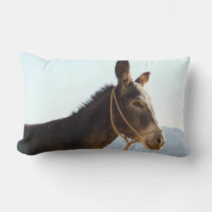 Donkey Mule Farm Animal Country Destination Lendenkissen