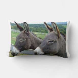 Donkey Mule Farm Animal Country Destination Lendenkissen