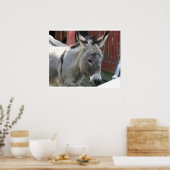 Donkey Mule Farm Animal Country Destination Poster (Küche)