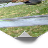 Donkey Mule Farm Animal Country Destination Poster (Ecke)