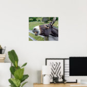 Donkey Mule Farm Animal Country Destination Poster (Heimbüro)