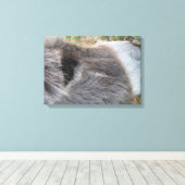 Donkey Nah - Das Gesicht Leinwanddruck (Insitu (Holzboden))