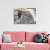 Donkey Nah - Das Gesicht Leinwanddruck (Insitu (Wohnzimmer))