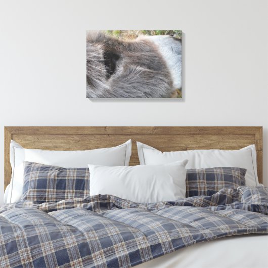 Donkey Nah - Das Gesicht Leinwanddruck (Insitu (Schlafzimmer))