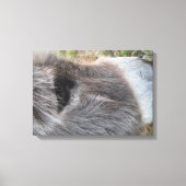 Donkey Nah - Das Gesicht Leinwanddruck (Vorderseite)