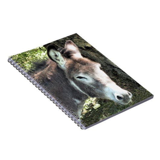 DONKEY NOTIZBLOCK (Rechte Seite)