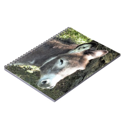 DONKEY NOTIZBLOCK (Linke Seite)