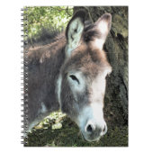 DONKEY NOTIZBLOCK (Vorderseite)