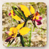 Donkey Orchids Getränkeuntersetzer (Vorderseite)