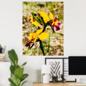 Donkey Orchids Poster (Heimbüro)