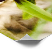 Donkey Orchids Poster (Ecke)