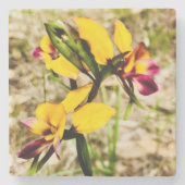 Donkey Orchids Steinuntersetzer (Vorderseite)