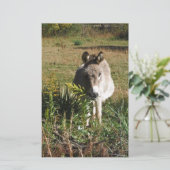 Donkey Picking Gelben Herbst Wildblumen Briefpapier (Stehend Vorderseite)