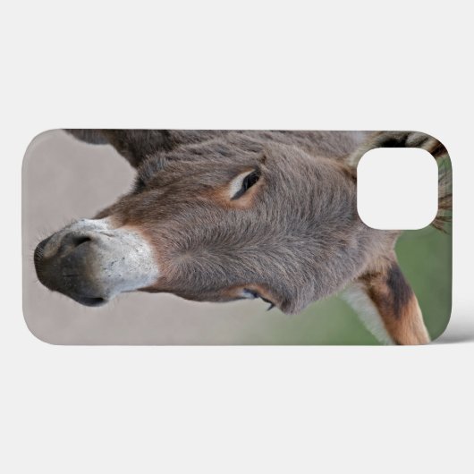Donkey Portrait iPad Case (Rückseite (Horizontal))