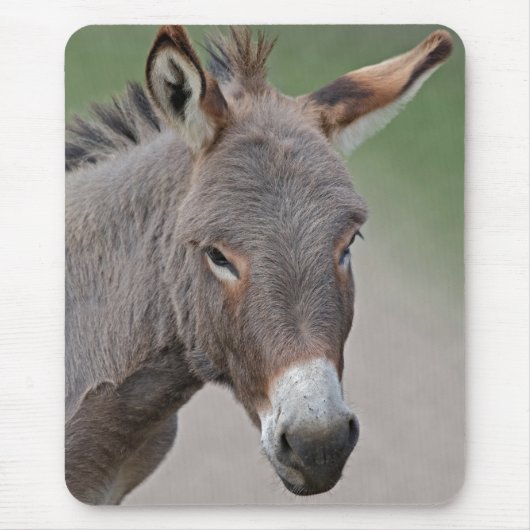 Donkey Portrait Mouse Mat Mousepad (Vorne)