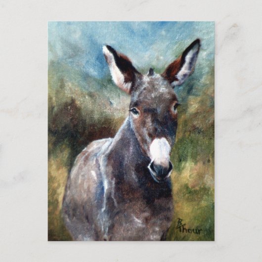 Donkey Portrait Postkarte (Vorderseite)