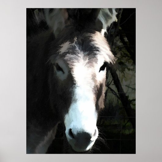 DONKEY POSTER (Vorne)