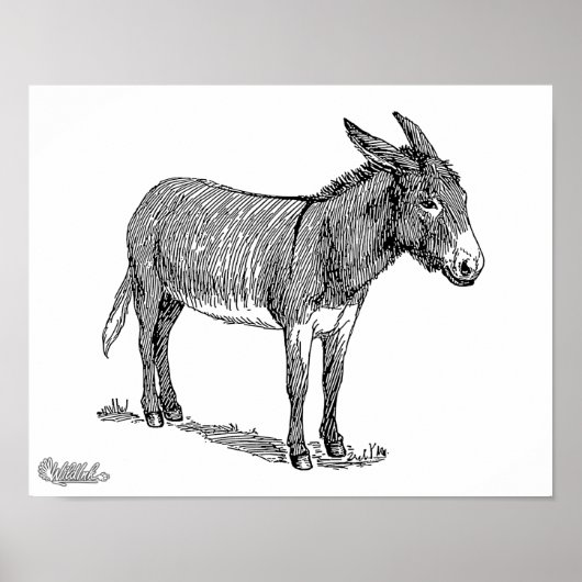 Donkey Poster (Vorne)