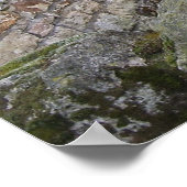 Donkey Poster (Ecke)