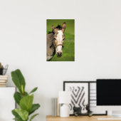 Donkey Poster (Heimbüro)