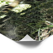 DONKEY POSTER (Ecke)