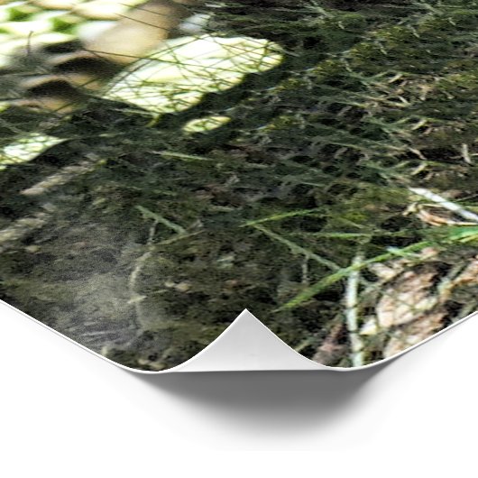 DONKEY POSTER (Ecke)