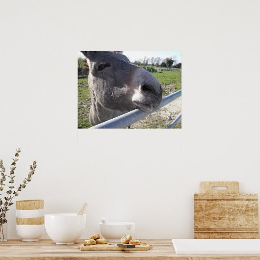 Donkey Poster (Küche)
