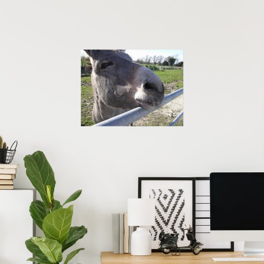 Donkey Poster (Heimbüro)