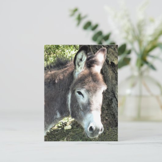 DONKEY POSTKARTE (Stehend Vorderseite)