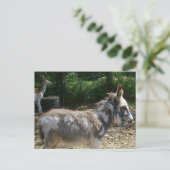 Donkey Postkarte (Stehend Vorderseite)