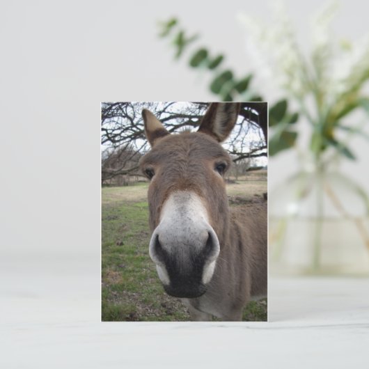 DONKEY POSTKARTE (Stehend Vorderseite)