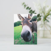 Donkey Postkarte (Stehend Vorderseite)