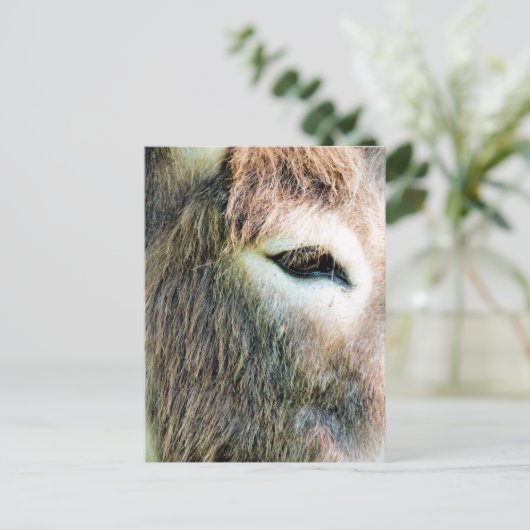 DONKEY POSTKARTE (Stehend Vorderseite)