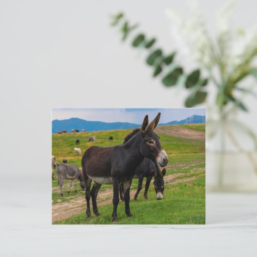Donkey Postkarte (Stehend Vorderseite)