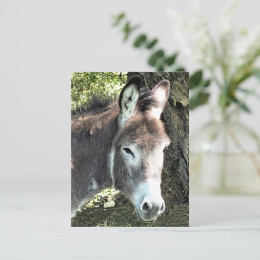 DONKEY POSTKARTE (Stehend Vorderseite)