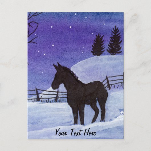 Donkey Postkarte (Vorderseite)