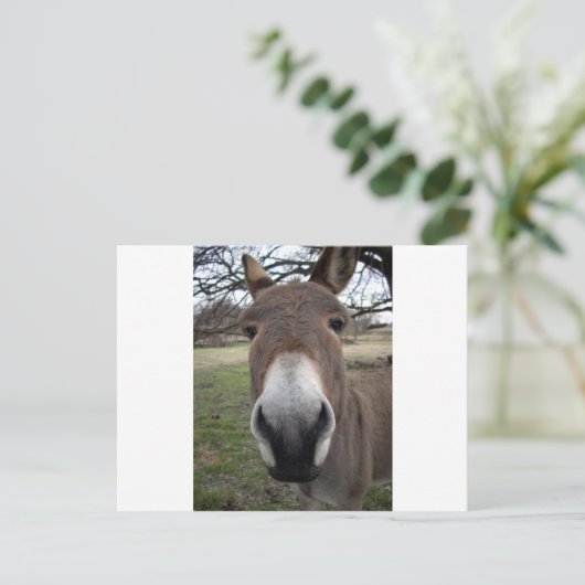 DONKEY POSTKARTE (Stehend Vorderseite)