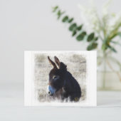 Donkey Postkarte (Stehend Vorderseite)