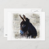 Donkey Postkarte (Vorne/Hinten)