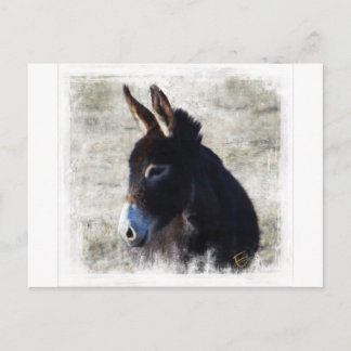 Donkey Postkarte
