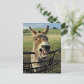 Donkey Postkarte (Stehend Vorderseite)
