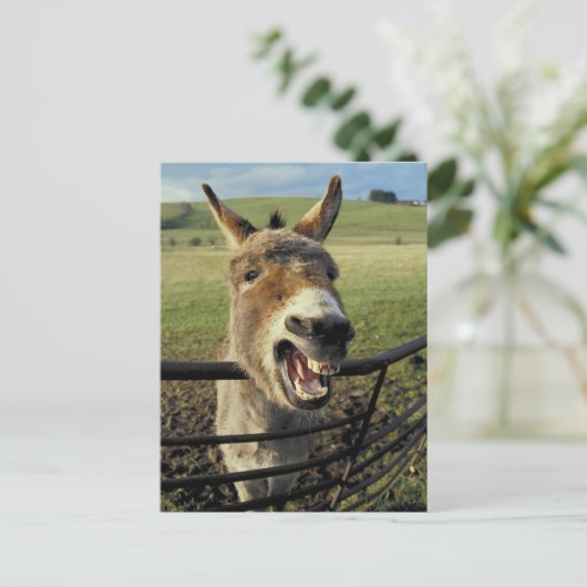 Donkey Postkarte (Stehend Vorderseite)