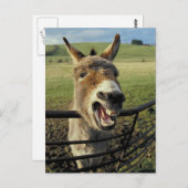 Donkey Postkarte (Vorne/Hinten)