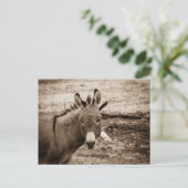 Donkey Postkarte (Stehend Vorderseite)