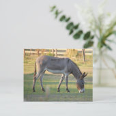 Donkey Postkarte (Stehend Vorderseite)