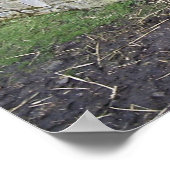 Donkey-Print Poster (Ecke)