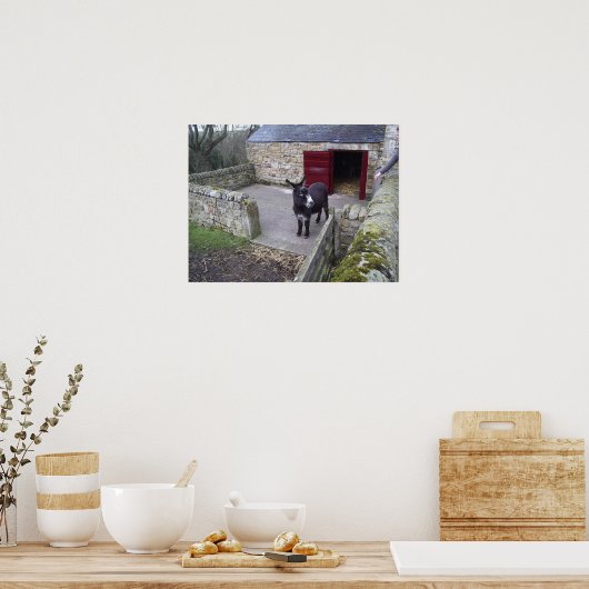 Donkey-Print Poster (Küche)