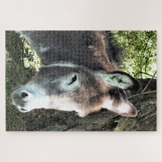 DONKEY PUZZLE (Horizontal)